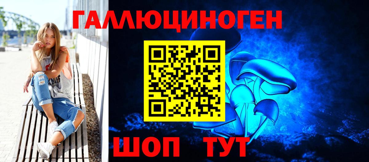 Псилоцибиновые грибы Psilocybe Майский