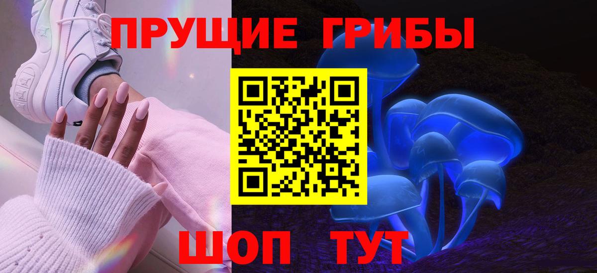 Псилоцибиновые грибы Psilocybe  Вход с VPN  Псилоцибиновые грибы мицелий  Майский 